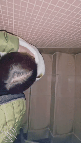 https://img.blr844.com/images/2026/01/13/-2.gif