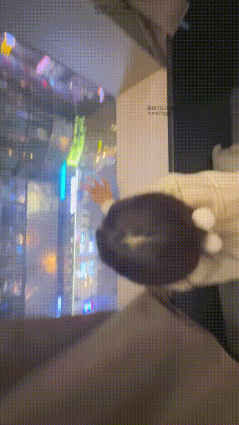 https://img.blr844.com/images/2026/04/05/1-14.gif